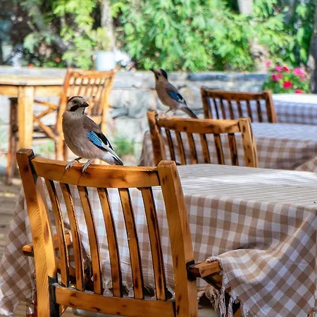 Hotel Gumusluk Hotel