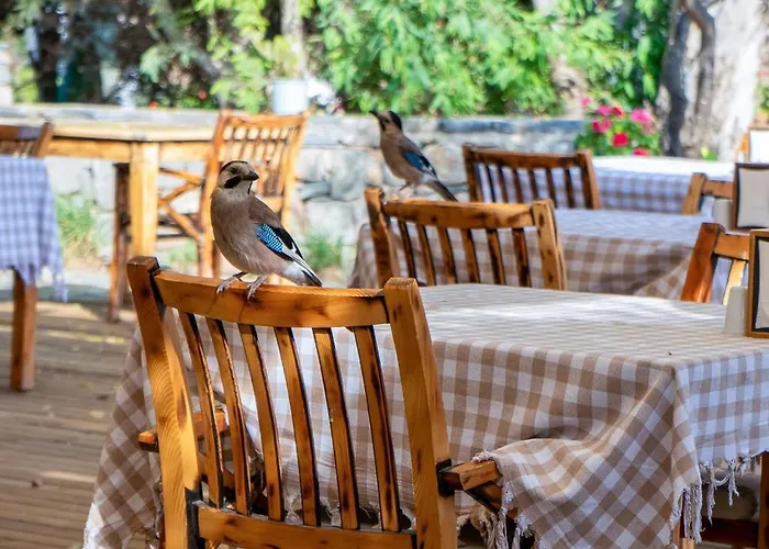 Hotel Gumusluk Hotel