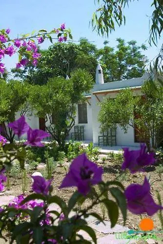 מלון Hotel Gumusluk 3*